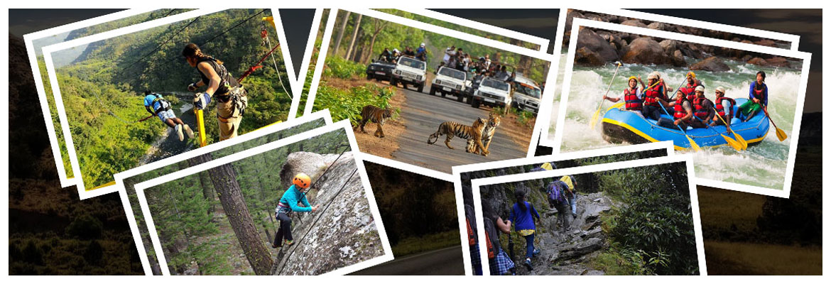 things to do in rishikesh