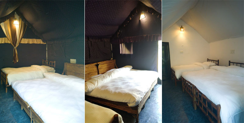 luxury forest camps in rishikesh 7